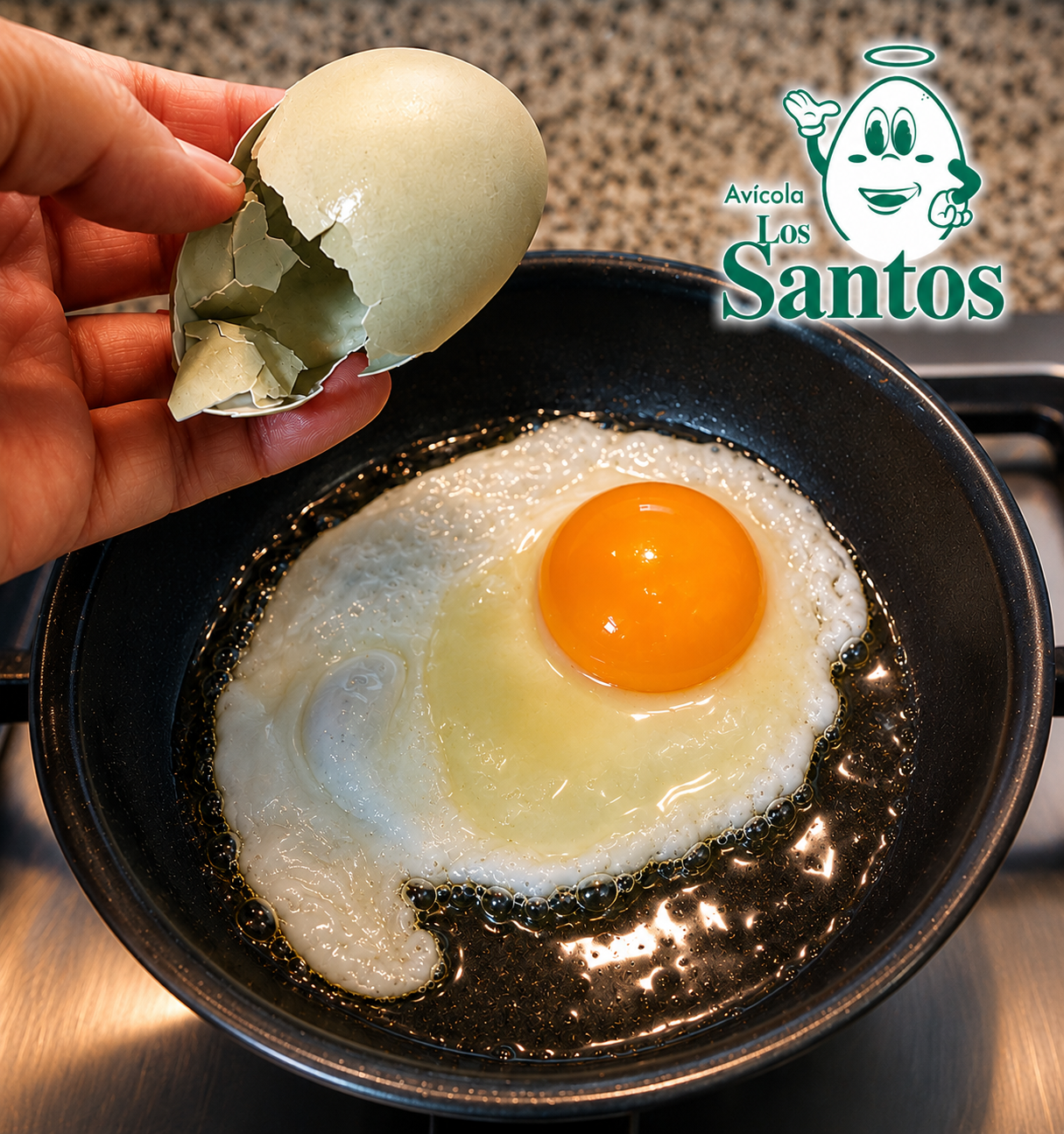 HUEVOS DE CAMPO GALLINAS LIBRES "PRIMERA 54 - 60 GRS."