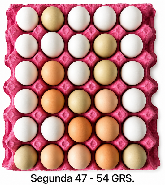 HUEVOS DE CAMPO GALLINAS LIBRES "SEGUNDA 47 - 54 GRS."