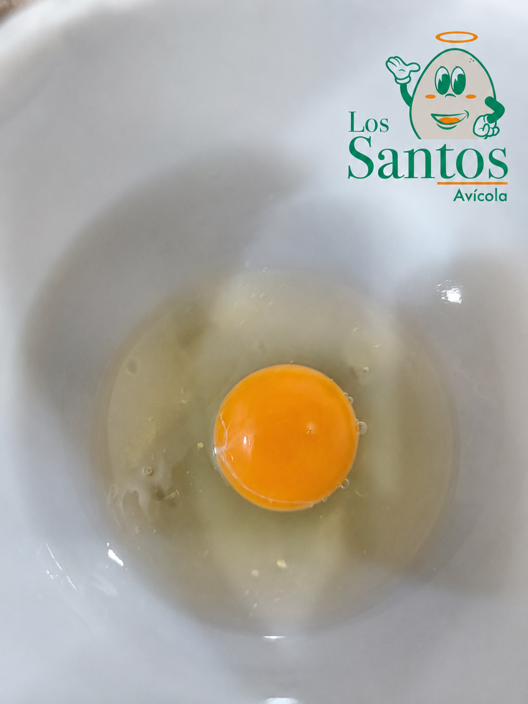 SEGUNDA TRADICIONAL, 180 UNIDADES (47 - 54 GMS)