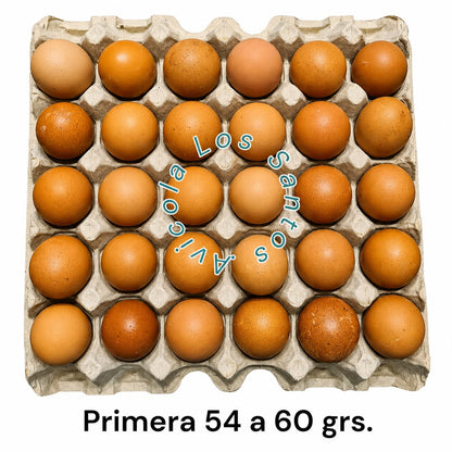 HUEVOS DE GALLINAS LIBRES "PRIMERA 54 - 60 GRS."