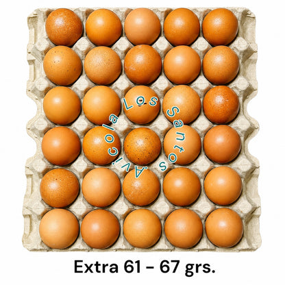 HUEVOS DE GALLINAS LIBRES "EXTRAS 61 - 67 GRS."