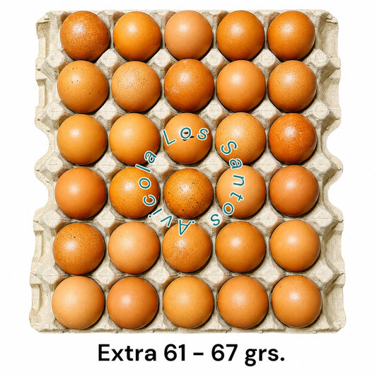 HUEVOS DE GALLINAS LIBRES "EXTRAS 61 - 67 GRS."