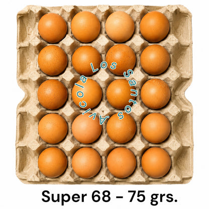 HUEVOS DE GALLINAS LIBRES "SUPER 68 - 75 GRS."