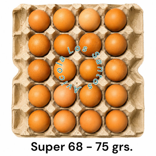 HUEVOS DE GALLINAS LIBRES "SUPER 68 - 75 GRS."
