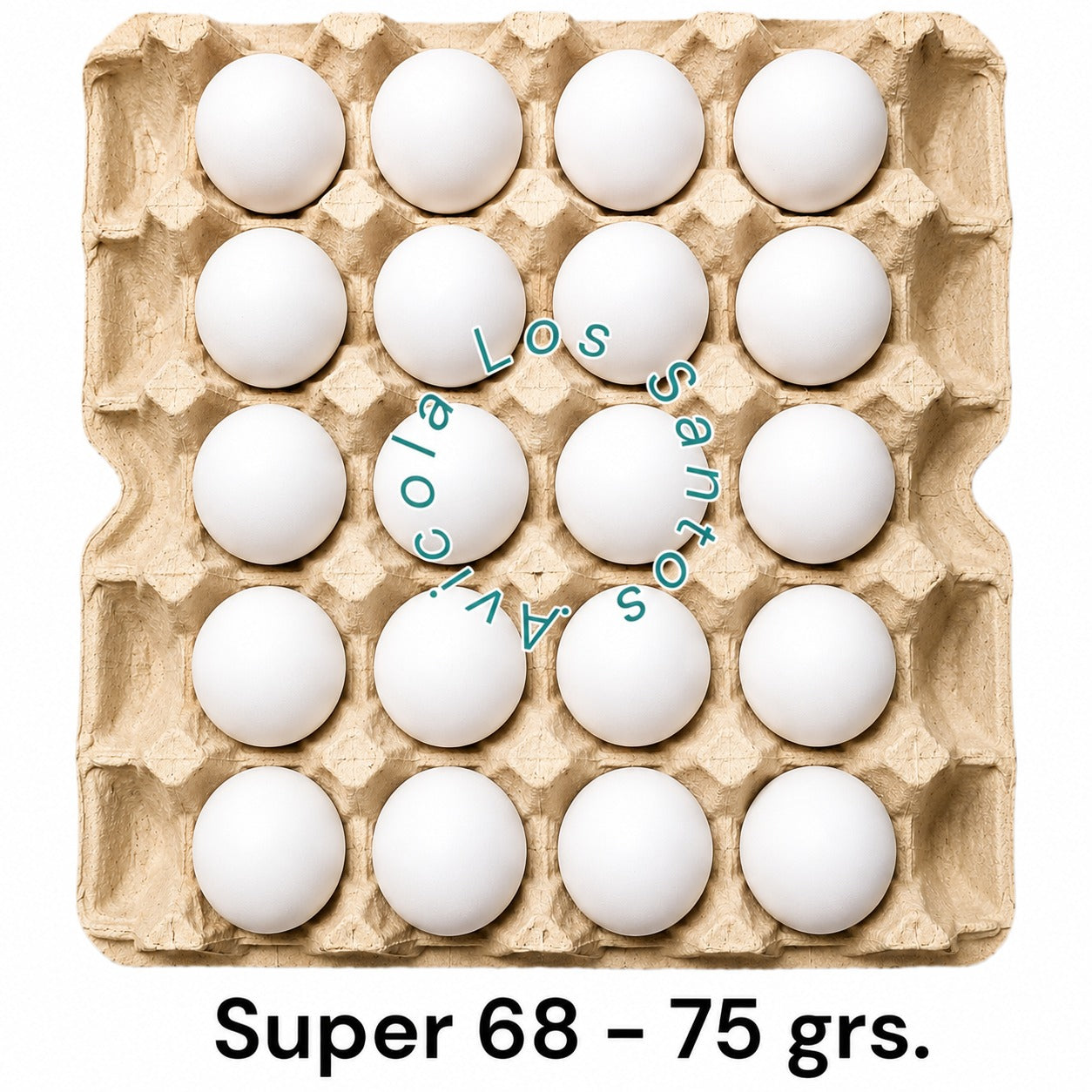 HUEVOS DE GALLINAS LIBRES "SUPER B 68 - 75 GRS."