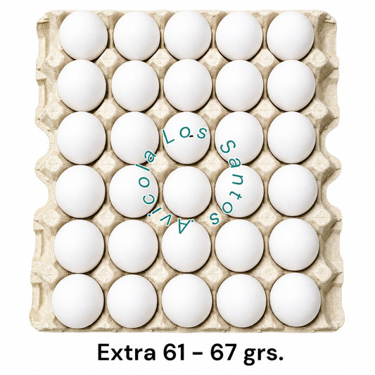 HUEVOS DE GALLINAS LIBRES "EXTRAS B 61 - 67 GRS."
