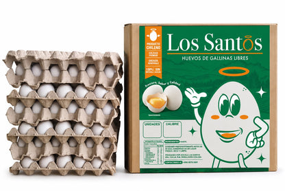 JUMBO TRADICIONAL, 100 UNIDADES ( 75 - 85 GMS)