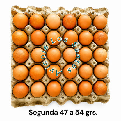 HUEVOS DE GALLINAS LIBRES "SEGUNDA 47 - 54 GRS."