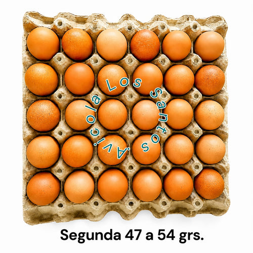 HUEVOS DE GALLINAS LIBRES "SEGUNDA 47 - 54 GRS."