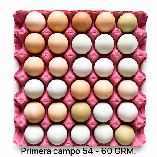 HUEVOS DE CAMPO GALLINAS LIBRES "PRIMERA 54 - 60 GRS."