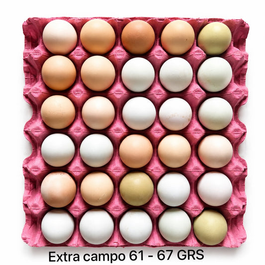 HUEVOS DE CAMPO GALLINAS LIBRES "EXTRAS 61 - 67 GRS."